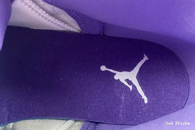 Retro Jordan CT8013- Stylish 12 735 Air 853 1002